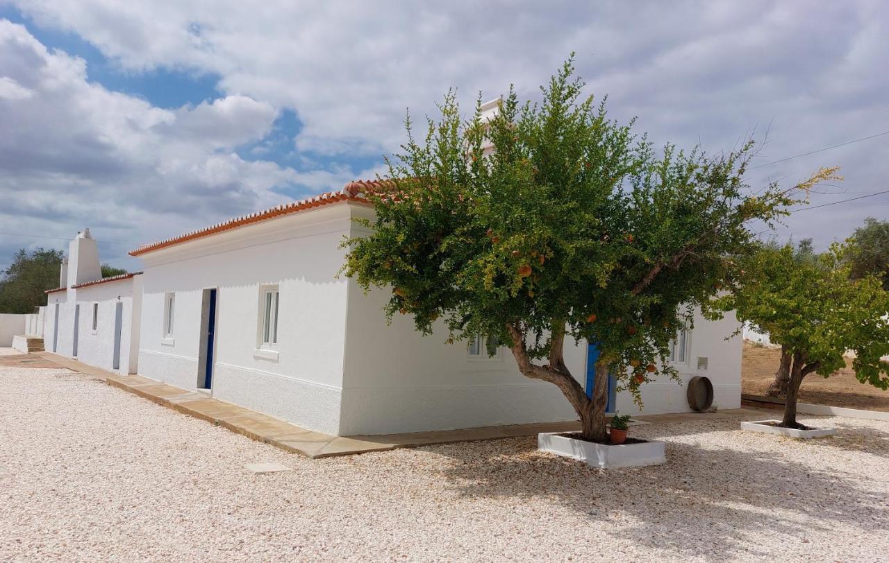 Holiday home Mileu Slowhouse *